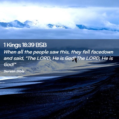 Picture 02 - 1 Kings 18:39 BSB - When all the people saw this, they fell facedown - Bible Verse Picture