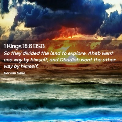 Picture 02 - 1 Kings 18:6 BSB - So they divided the land to explore. Ahab went - Bible Verse Picture