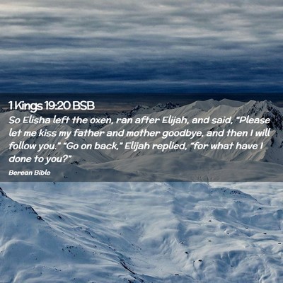 Picture 02 - 1 Kings 19:20 BSB - So Elisha left the oxen, ran after Elijah, and - Bible Verse Picture