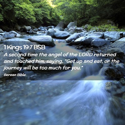 Picture 02 - 1 Kings 19:7 BSB - A second time the angel of the LORD returned and - Bible Verse Picture