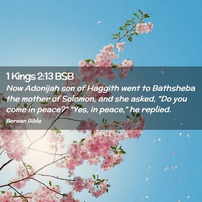 Picture 02 - 1 Kings 2:13 BSB - Now Adonijah son of Haggith went to Bathsheba the - Bible Verse Picture