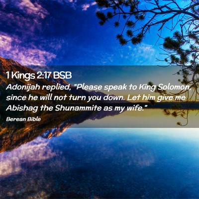 Picture 02 - 1 Kings 2:17 BSB - Adonijah replied, “Please speak to King - Bible Verse Picture