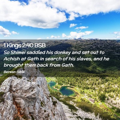 Picture 02 - 1 Kings 2:40 BSB - So Shimei saddled his donkey and set out to - Bible Verse Picture