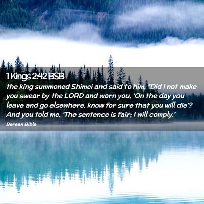 Picture 02 - 1 Kings 2:42 BSB - the king summoned Shimei and said to him, “Did - Bible Verse Picture