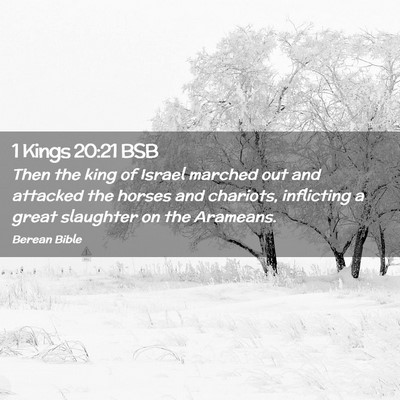 Picture 02 - 1 Kings 20:21 BSB - Then the king of Israel marched out and attacked - Bible Verse Picture