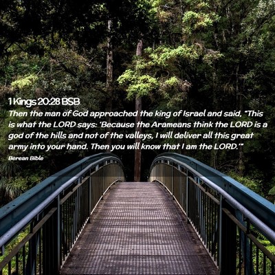 Picture 02 - 1 Kings 20:28 BSB - Then the man of God approached the king of Israel - Bible Verse Picture