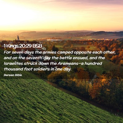 Picture 02 - 1 Kings 20:29 BSB - For seven days the armies camped opposite each - Bible Verse Picture