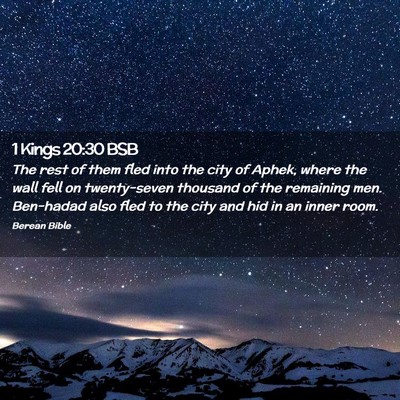 Picture 02 - 1 Kings 20:30 BSB - The rest of them fled into the city of Aphek, - Bible Verse Picture