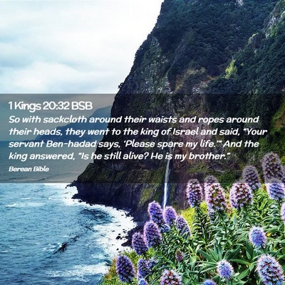 Picture 02 - 1 Kings 20:32 BSB - So with sackcloth around their waists and ropes - Bible Verse Picture