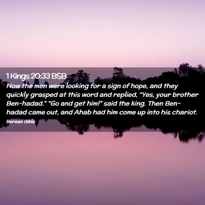 Picture 02 - 1 Kings 20:33 BSB - Now the men were looking for a sign of hope, and - Bible Verse Picture