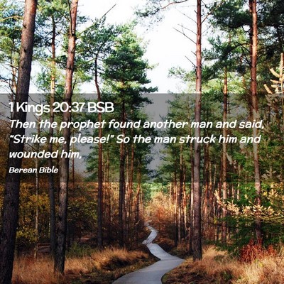 Picture 02 - 1 Kings 20:37 BSB - Then the prophet found another man and said, - Bible Verse Picture