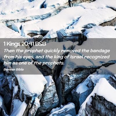 Picture 02 - 1 Kings 20:41 BSB - Then the prophet quickly removed the bandage from - Bible Verse Picture