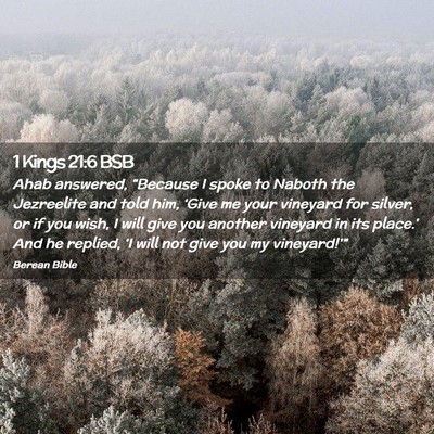 Picture 02 - 1 Kings 21:6 BSB - Ahab answered, “Because I spoke to Naboth the - Bible Verse Picture