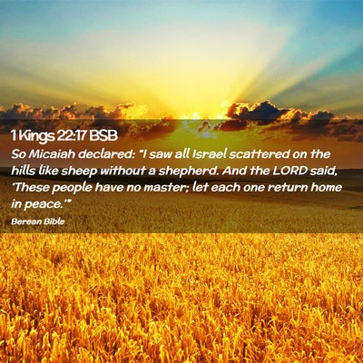 Picture 02 - 1 Kings 22:17 BSB - So Micaiah declared: “I saw all Israel - Bible Verse Picture