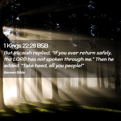 Picture 02 - 1 Kings 22:28 BSB - But Micaiah replied, “If you ever return - Bible Verse Picture