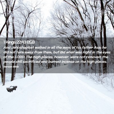Picture 02 - 1 Kings 22:43 BSB - And Jehoshaphat walked in all the ways of his - Bible Verse Picture