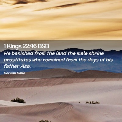 Picture 02 - 1 Kings 22:46 BSB - He banished from the land the male shrine - Bible Verse Picture