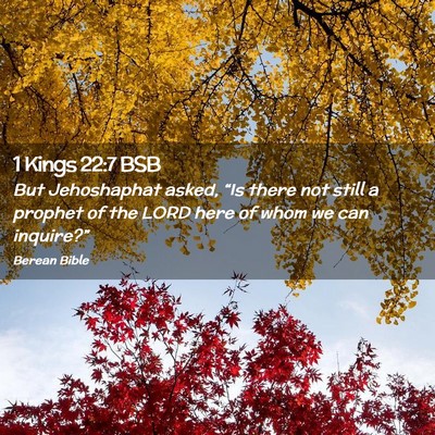 Picture 02 - 1 Kings 22:7 BSB - But Jehoshaphat asked, “Is there not still a - Bible Verse Picture