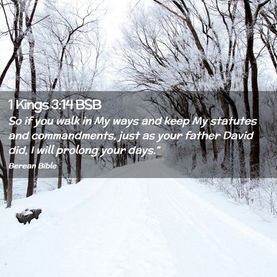 Picture 02 - 1 Kings 3:14 BSB - So if you walk in My ways and keep My statutes - Bible Verse Picture