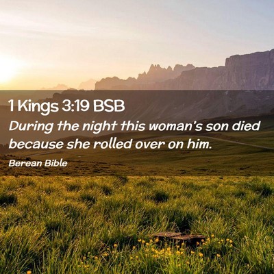 Picture 02 - 1 Kings 3:19 BSB - During the night this woman’s son died because - Bible Verse Picture