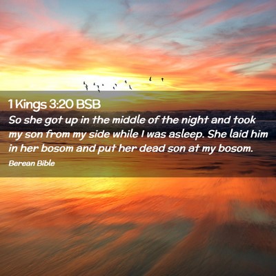 Picture 02 - 1 Kings 3:20 BSB - So she got up in the middle of the night and took - Bible Verse Picture