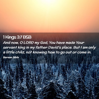 Picture 02 - 1 Kings 3:7 BSB - And now, O LORD my God, You have made Your - Bible Verse Picture