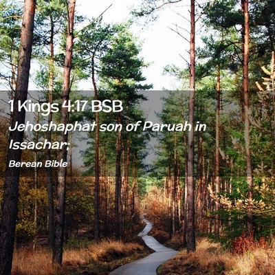 Picture 02 - 1 Kings 4:17 BSB - Jehoshaphat son of Paruah in - Bible Verse Picture