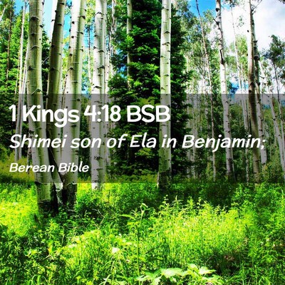 Picture 02 - 1 Kings 4:18 BSB - Shimei son of Ela in - Bible Verse Picture