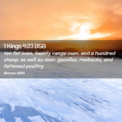 Picture 02 - 1 Kings 4:23 BSB - ten fat oxen, twenty range oxen, and a hundred - Bible Verse Picture