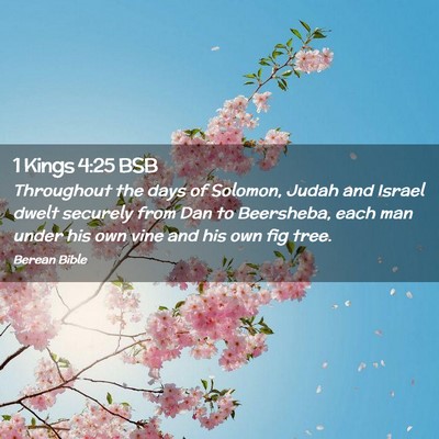 Picture 02 - 1 Kings 4:25 BSB - Throughout the days of Solomon, Judah and Israel - Bible Verse Picture