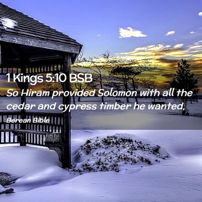 Picture 02 - 1 Kings 5:10 BSB - So Hiram provided Solomon with all the cedar and - Bible Verse Picture