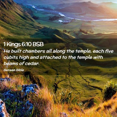 Picture 02 - 1 Kings 6:10 BSB - He built chambers all along the temple, each five - Bible Verse Picture