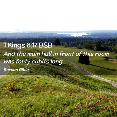 Picture 02 - 1 Kings 6:17 BSB - And the main hall in front of this room was forty - Bible Verse Picture