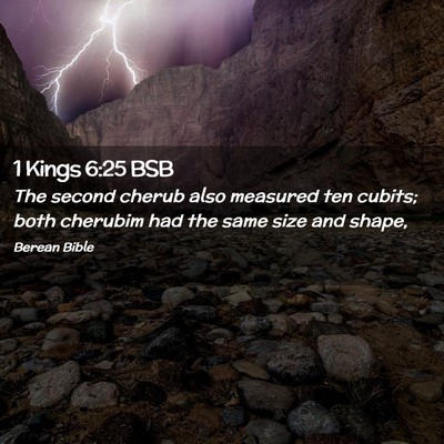 Picture 02 - 1 Kings 6:25 BSB - The second cherub also measured ten cubits; both - Bible Verse Picture
