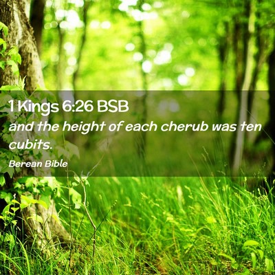 Picture 02 - 1 Kings 6:26 BSB - and the height of each cherub was ten - Bible Verse Picture