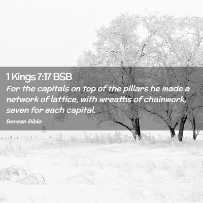 Picture 02 - 1 Kings 7:17 BSB - For the capitals on top of the pillars he made a - Bible Verse Picture