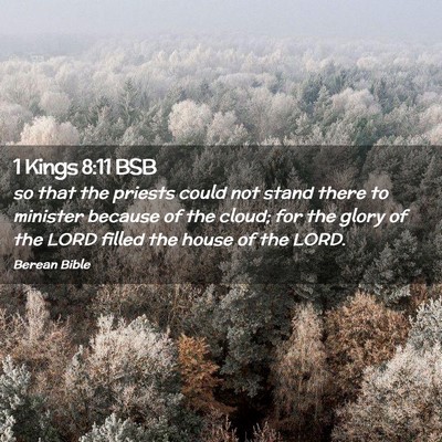 Picture 02 - 1 Kings 8:11 BSB - so that the priests could not stand there to - Bible Verse Picture