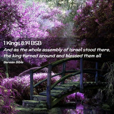 Picture 02 - 1 Kings 8:14 BSB - And as the whole assembly of Israel stood there, - Bible Verse Picture