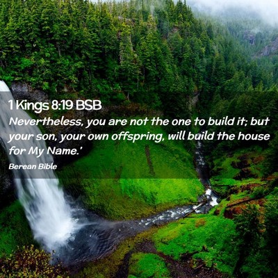 Picture 02 - 1 Kings 8:19 BSB - Nevertheless, you are not the one to build it; - Bible Verse Picture