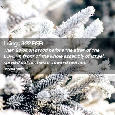 Picture 02 - 1 Kings 8:22 BSB - Then Solomon stood before the altar of the LORD - Bible Verse Picture