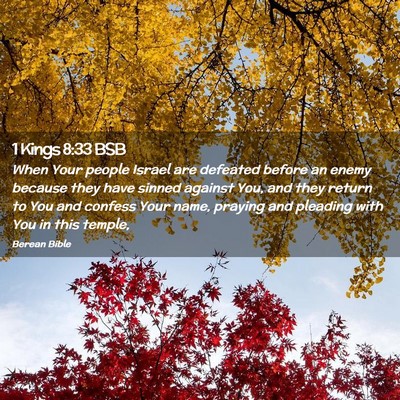 Picture 02 - 1 Kings 8:33 BSB - When Your people Israel are defeated before an - Bible Verse Picture