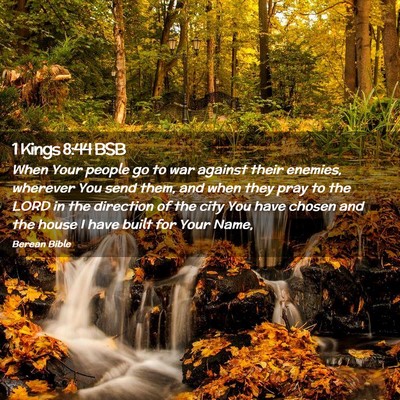 Picture 02 - 1 Kings 8:44 BSB - When Your people go to war against their enemies, - Bible Verse Picture