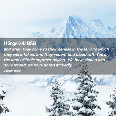 Picture 02 - 1 Kings 8:47 BSB - and when they come to their senses in the land to - Bible Verse Picture