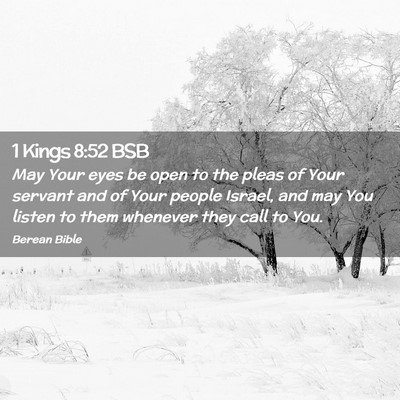 Picture 02 - 1 Kings 8:52 BSB - May Your eyes be open to the pleas of Your - Bible Verse Picture
