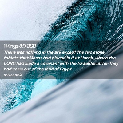 Picture 02 - 1 Kings 8:9 BSB - There was nothing in the ark except the two stone - Bible Verse Picture