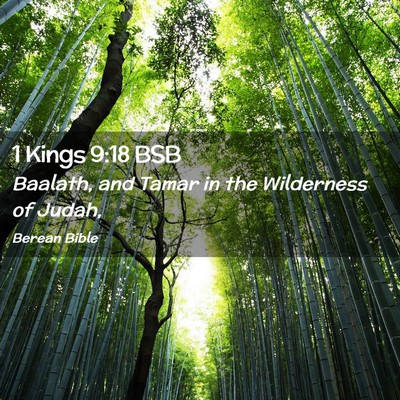 Picture 02 - 1 Kings 9:18 BSB - Baalath, and Tamar in the Wilderness of - Bible Verse Picture