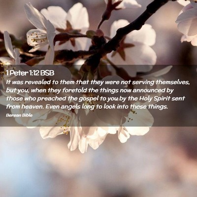 Picture 02 - 1 Peter 1:12 BSB - It was revealed to them that they were not - Bible Verse Picture