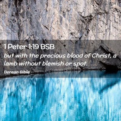 Picture 02 - 1 Peter 1:19 BSB - but with the precious blood of Christ, a lamb - Bible Verse Picture