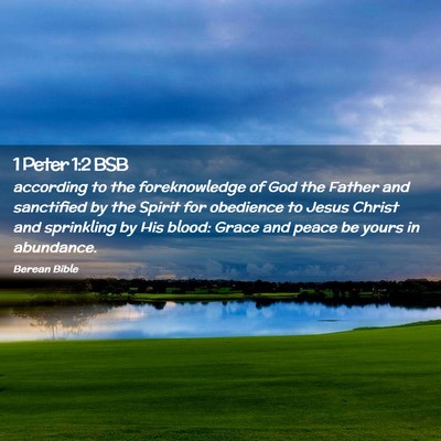 Picture 02 - 1 Peter 1:2 BSB - according to the foreknowledge of God the Father - Bible Verse Picture