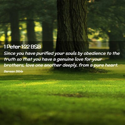 Picture 02 - 1 Peter 1:22 BSB - Since you have purified your souls by obedience - Bible Verse Picture